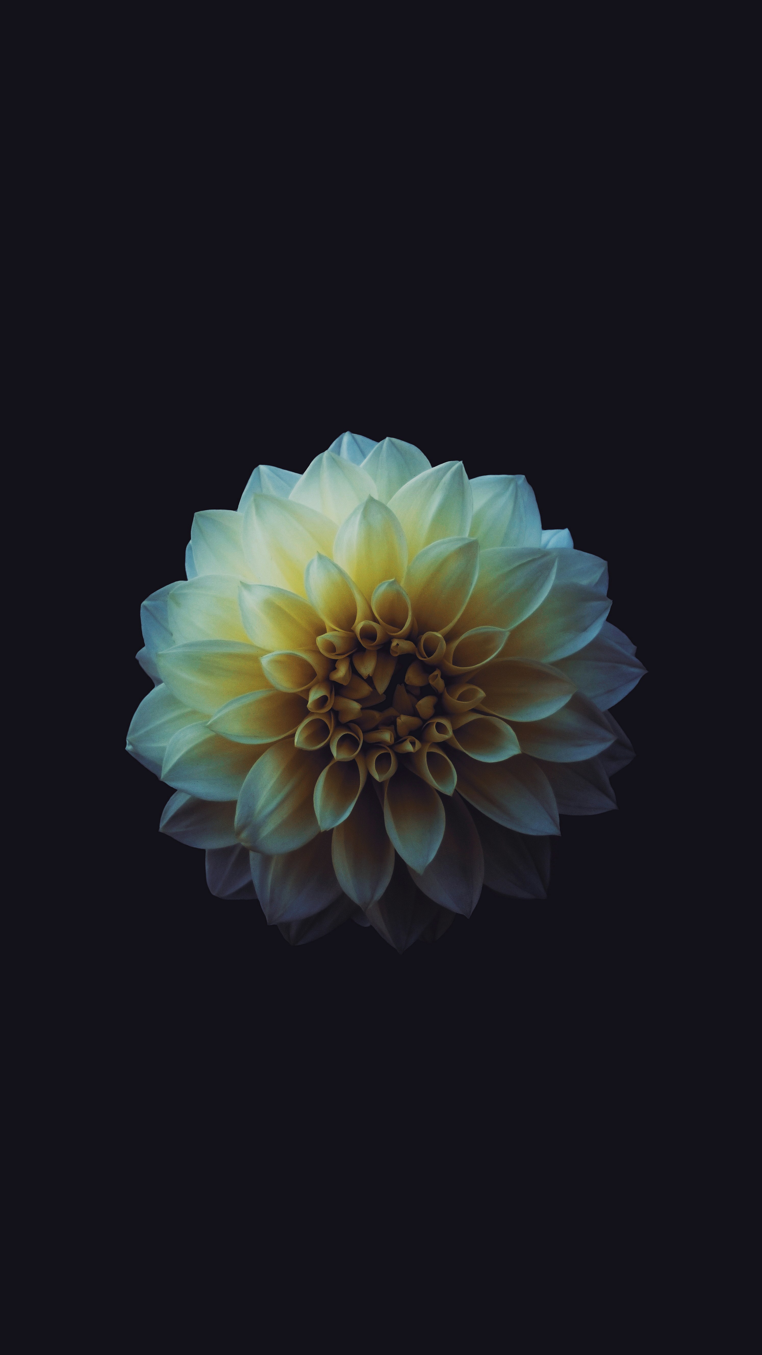 550+ Watch Wallpaper Pictures